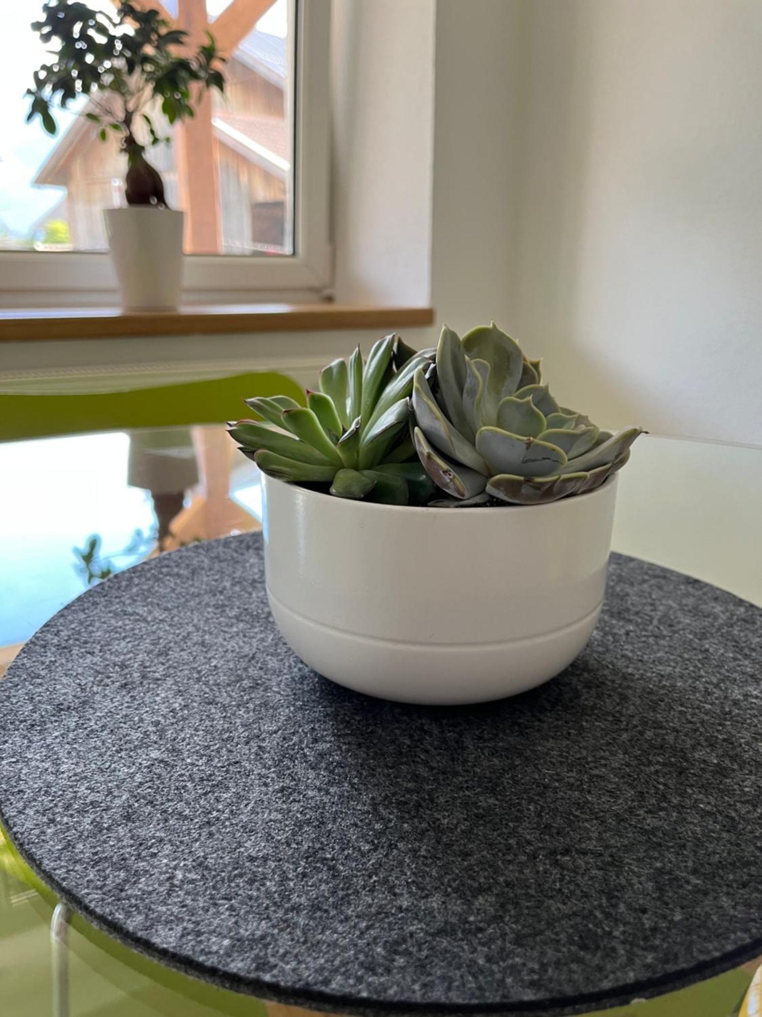 Appartement Seehof Nassereith Eksteriør billede